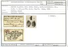 Karteikarte zum Syntyp von Quinqueloculina schroekingerii Karrer, 1868